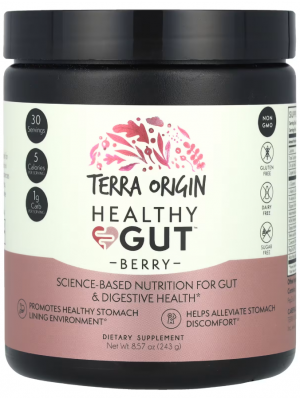 Пробиотики и ферменты Terra Origin Healthy Gut (243 гр.)
